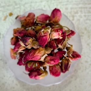 Botões de Rosas Rubras