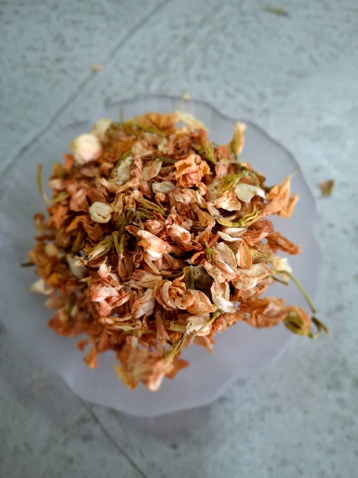 Jasmin-em-flor-.jpg